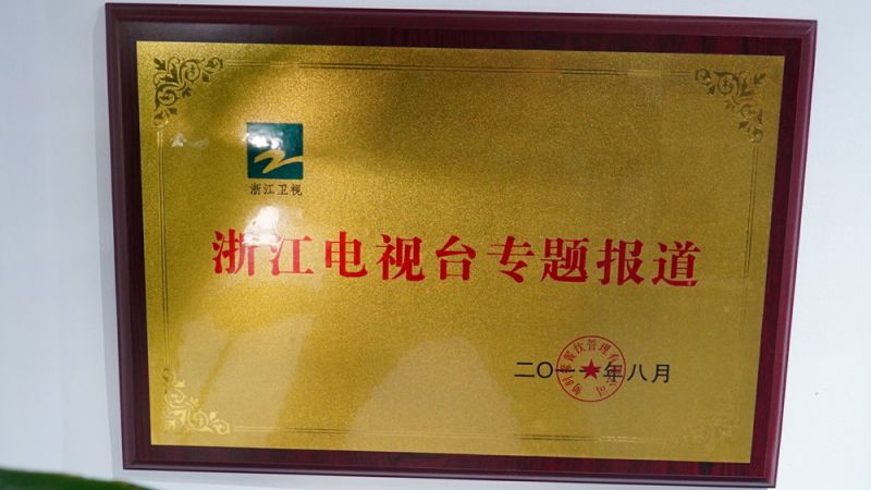 浙江電視臺專題報道